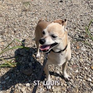 Meet your Posher, Arielle